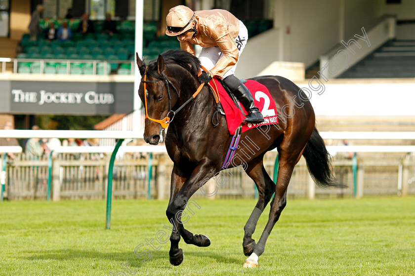 Heredia-0001 
 HEREDIA (Sean Levey)
Newmarket 7 Oct 2023 - Pic Steven Cargill / Racingfotos.com