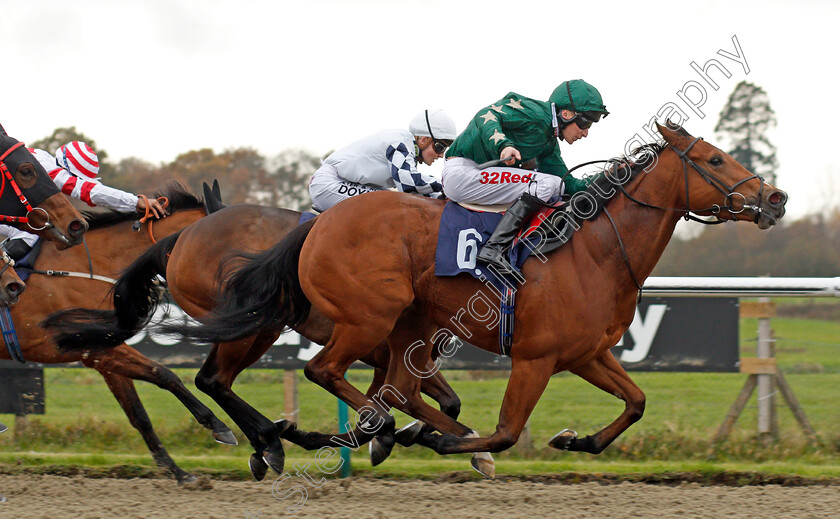 Gorgeous-Noora-0002 
 GORGEOUS NOORA (Luke Morris) wins The Betway Sprint Handicap Lingfield 21 Nov 2017 - Pic Steven Cargill / Racingfotos.com