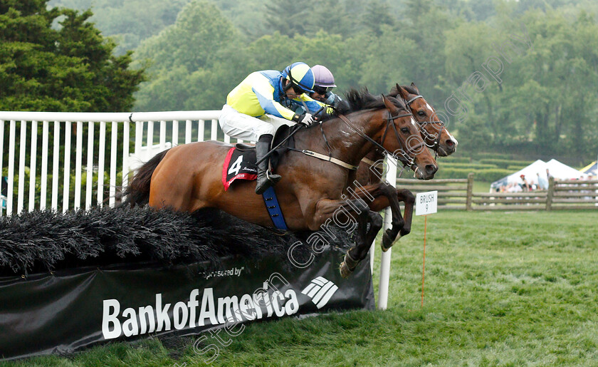 Scorpiancer-0003 
 SCORPIANCER (Sean McDermott) wins The Calvin Houghland Iroquois Grade1
Percy Warner Park, Nashville Tennessee USA, 11 May 2019 - Pic Steven Cargill / Racingfotos.com