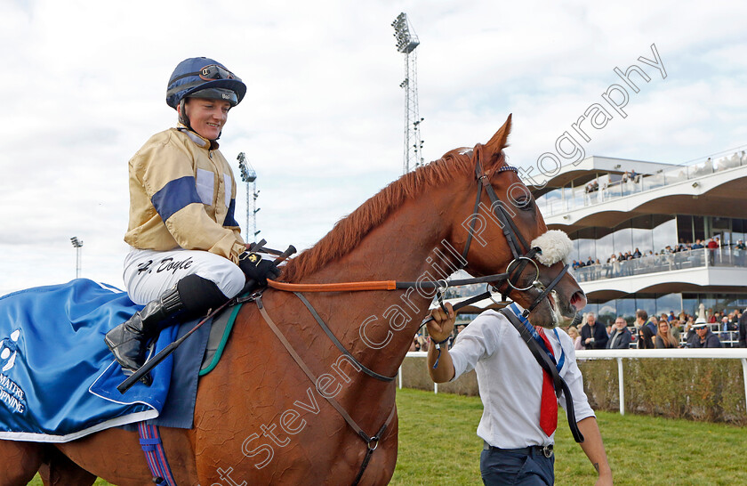 Manitou-0013 
 MANITOU (Hollie Doyle) winner of The Appel Au Maitre Svealandlopning
Bro Park, Sweden 18 Sep 2022 - Pic Steven Cargill / Racingfotos.com