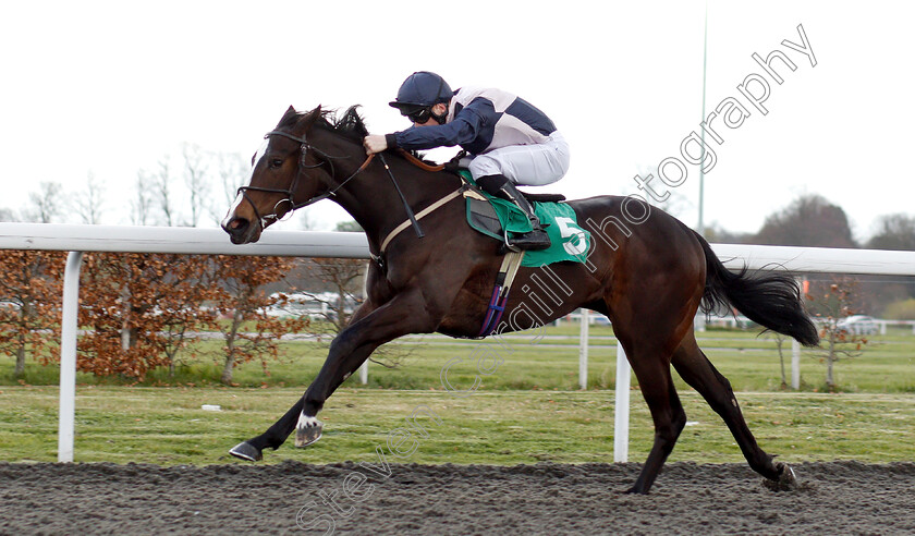 Lady-Kermit-0003 
 LADY KERMIT (Edward Greatrex) wins The 100% Profit Boost At 32redsport.com EBF FIllies Novice Stakes
Kempton 3 Apr 2019 - Pic Steven Cargill / Racingfotos.com