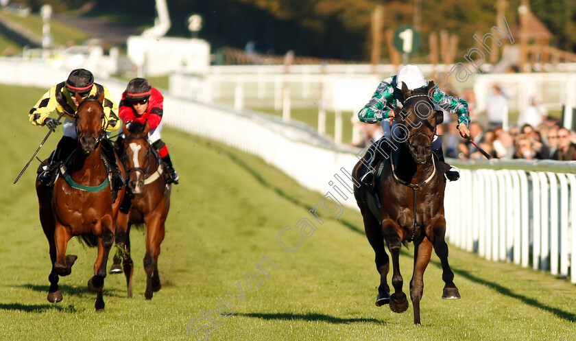 Captain-Lars-0002 
 CAPTAIN LARS (Pierre-Louis Jamin) wins The Heineken UK Apprentice Handicap
Goodwood 26 Sep 2018 - Pic Steven Cargill / Racingfotos.com