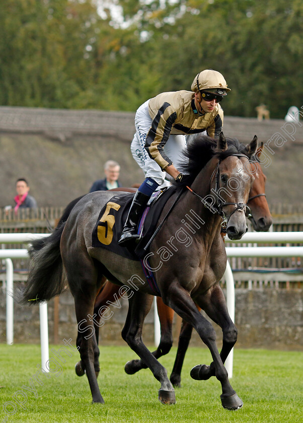 Miggy-Magic-0001 
 MIGGY MAGIC (P J McDonald)
Newmarket 4 Aug 2023 - Pic Steven Cargill / Racingfotos.com