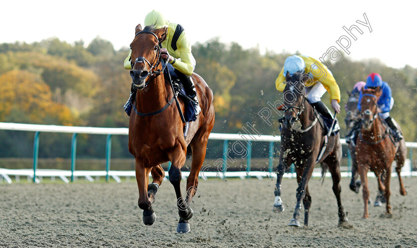 Maamora-0007 
 MAAMORA (James Doyle) wins The Coral EBF Fleur De Lys Fillies Stakes
Lingfield 28 Oct 2021 - Pic Steven Cargill / Racingfotos.com