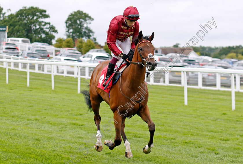 Del-Ray-0001 
 DEL RAY (Oisin Murphy)
Sandown 25 Jul 2024 - Pic Steven Cargill / Racingfotos.com