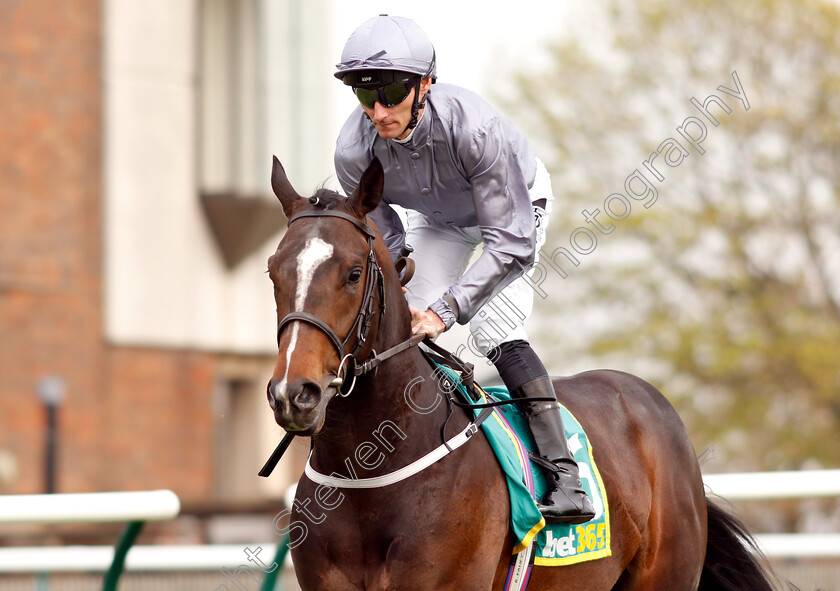 Space-Traveller-0002 
 SPACE TRAVELLER (Daniel Tudhope)
Newmarket 16 Apr 2019 - Pic Steven Cargill / Racingfotos.com