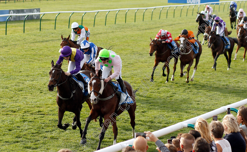 Low-Sun-0005 
 LOW SUN (centre, Seamie Heffernan) beats URADEL (left) in The Dubai £500,000 Cesarewitch Handicap
Newmarket 13 Oct 2018 - Pic Steven Cargill / Racingfotos.com