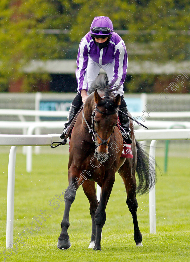 Lope-Y-Fernandez-0001 
 LOPE Y FERNANDEZ (Ryan Moore)
Newbury 15 May 2021 - Pic Steven Cargill / Racingfotos.com