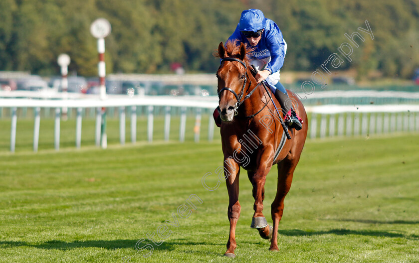 Castle-Way-0002 
 CASTLE WAY (William Buick) wins The Together Commercial Finance EBF Novice Stakes
Haydock 1 Sep 2022 - Pic Steven Cargill / Racingfotos.com