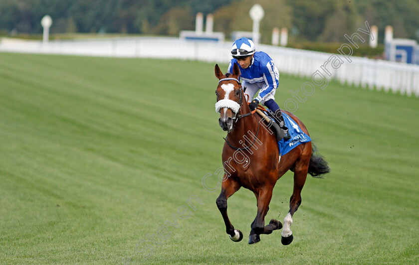 Kingsofthemidlands-0001 
 KINGSOFTHEMIDLANDS (Silvestre De Sousa)
Ascot 1 Oct 2021 - Pic Steven Cargill / Racingfotos.com