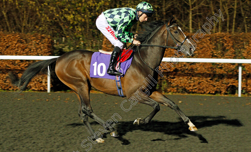 Valyrian-0001 
 VALYRIAN (Luke Morris) Kempton 20 Dec 2017 - Pic Steven Cargill / Racingfotos.com