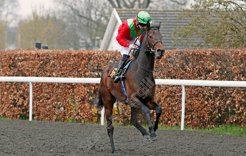 Nordic-Passage-0001 
 NORDIC PASSAGE (Robert Havlin) winner of The Bet At Racinguk.com Novice Median Auction Stakes Div2 Kempton 11 Apr 2018 - Pic Steven Cargill / Racingfotos.com