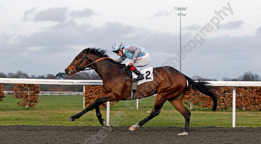 Sir-Oliver-0006 
 SIR OLIVER (Shane Kelly) wins The 100% Profit Boost At 32redsport.com Novice Stakes
Kempton 17 Feb 2020 - Pic Steven Cargill / Racingfotos.com