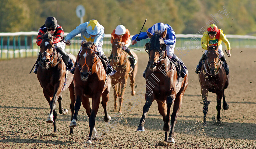 Dawaaleeb-0003 
 DAWAALEEB (right, Jim Crowley) beats MR TYRRELL (2nd left) and FRANCIS XAVIER (left) in The AG Maiden Stakes Lingfield 5 Oct 2017 - Pic Steven Cargill / Racingfotos.com