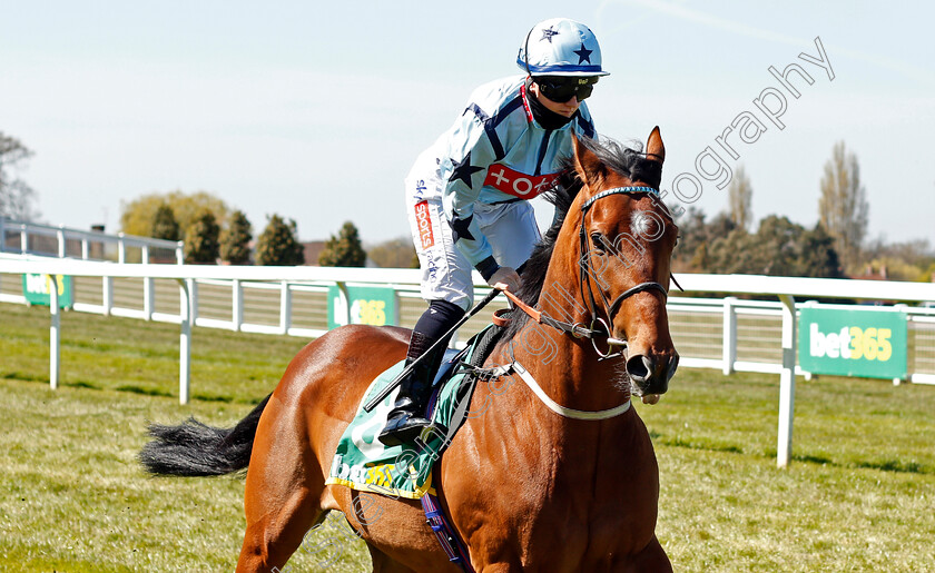 Without-Revenge-0001 
 WITHOUT REVENGE (Hollie Doyle)
Sandown 23 Apr 2021 - Pic Steven Cargill / Racingfotos.com