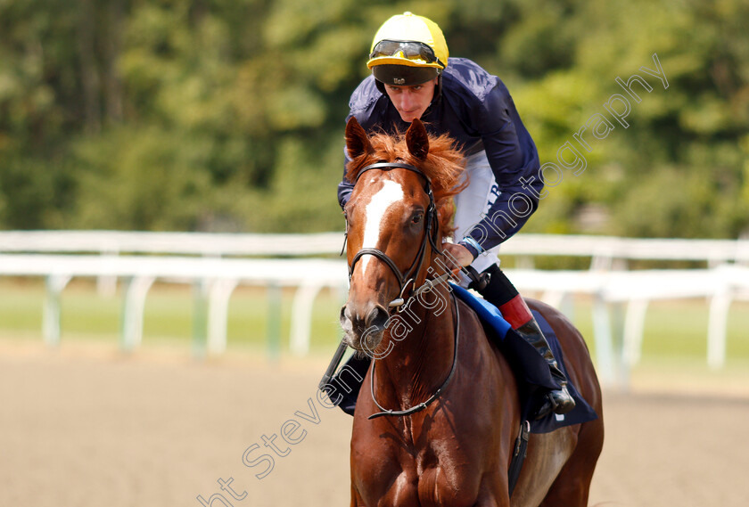 Crystal-King-0001 
 CRYSTAL KING (Adam Kirby)
Lingfield 25 Jul 2018 - Pic Steven Cargill / Racingfotos.com