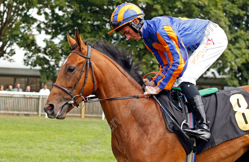 Luckin-Brew 
 LUCKIN BREW (Rossa Ryan)
Newmarket 30th July 2022 - Pic Steven Cargill / Racingfotos.com