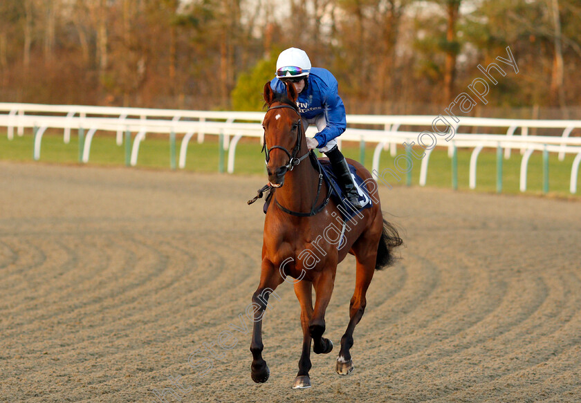 Spring-Waterfall-0001 
 SPRING WATERFALL (Edward Greatrex) Lingfield 10 Jan 2018 - Pic Steven Cargill / Racingfotos.com