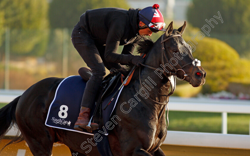 Pogo-0001 
 POGO training for the Turf Sprint
King Abdulaziz Racetrack, Riyadh, Saudi Arabia 23 Feb 2022 - Pic Steven Cargill / Racingfotos.com