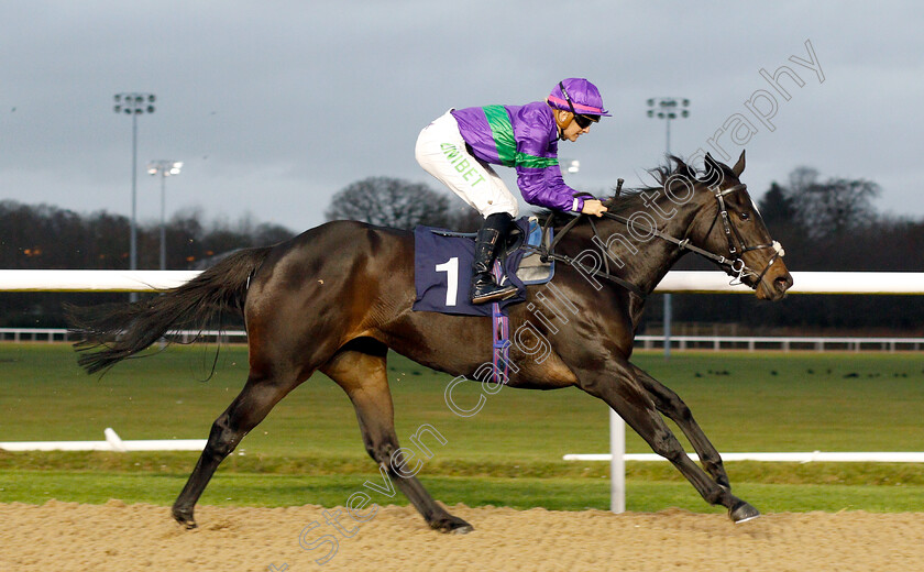 Heavenly-Holly-0007 
 HEAVENLY HOLLY (Josephine Gordon) wins The sunracing.co.uk Novice Stakes
Wolverhampton 28 Nov 2018 - Pic Steven Cargill / Racingfotos.com