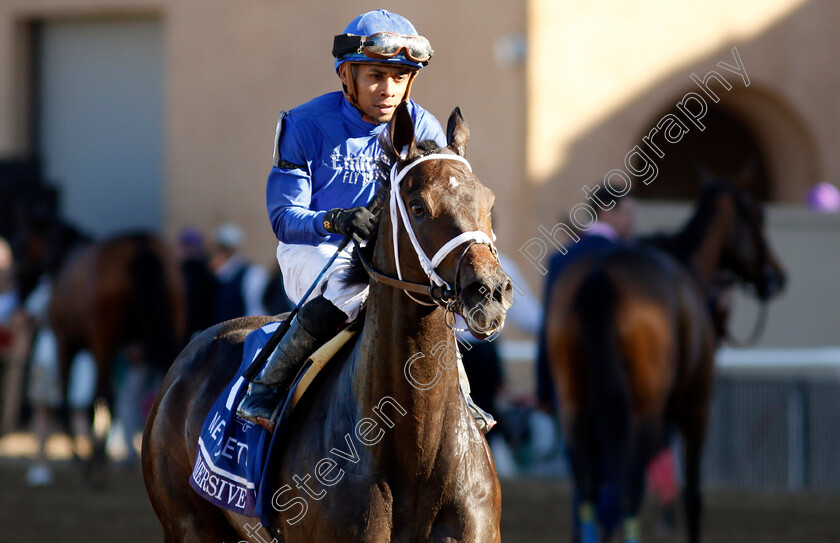 Immersive-0011 
 IMMERSIVE (Manuel Franco) winner of the Breeders' Cup Juvenile Fillies 
Del Mar USA 1 Nov 2024 - Pic Steven Cargill / Racingfotos.com