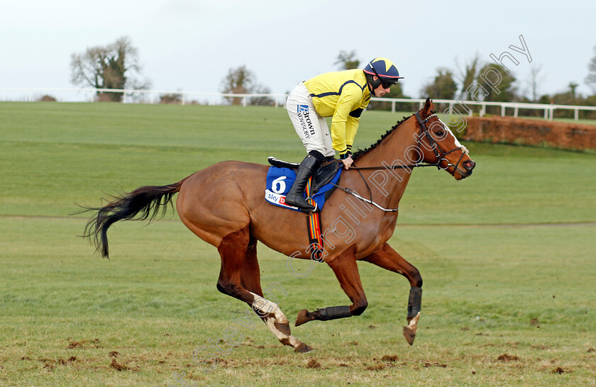 Low-Style-0001 
 LOW STYLE (Sean Flanagan)
Punchestown 12 Jan 2025 - Pic Steven Cargill / Racingfotos.com