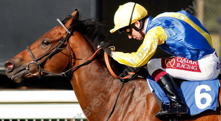 Starfighter-0005 
 STARFIGHTER (Oisin Murphy) wins The Lester Brunt Wealth Management Handicap
Salisbury 5 Sep 2019 - Pic Steven Cargill / Racingfotos.com