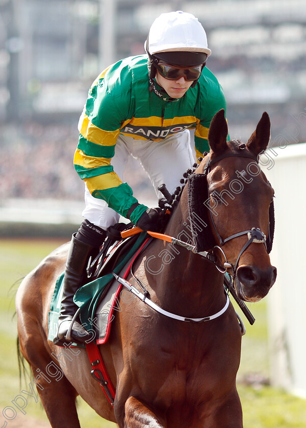 Sire-Du-Berlais-0001 
 SIRE DU BERLAIS (Jonjo O'Neill Jr)
Aintree 6 Apr 2019 - Pic Steven Cargill / Racingfotos.com