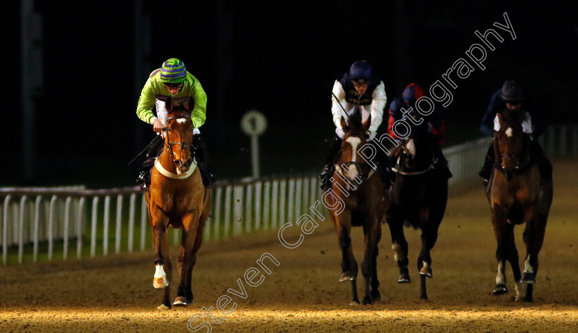 Optician-0001 
 OPTICIAN (Rossa Ryan) wins The Betuk Handicap
Wolverhampton 20 Dec 2024 - Pic Steven Cargill / Racingfotos.com