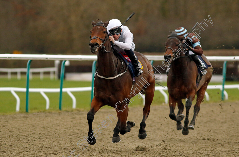 One-Night-Stand-0003 
 ONE NIGHT STAND (Phil Dennis) wins The BetUk It's Where The UK Bets Handicap
Lingfield 23 Dec 2023 - Pic Steven Cargill / Racingfotos.com