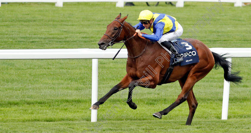 Goliath-0008 
 GOLIATH (Christophe Soumillon) wins The King George VI and Queen Elizabeth Stakes
Ascot 27 Jul 2024 - Pic Steven Cargill / Racingfotos.com