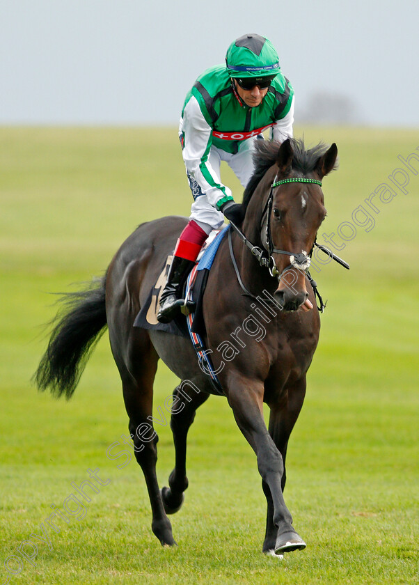 Filistine-0002 
 FILISTINE (Frankie Dettori) winner of The 888sport British EBF Novice Stakes Div2
Newmarket 29 Oct 2021 - Pic Steven Cargill / Racingfotos.com