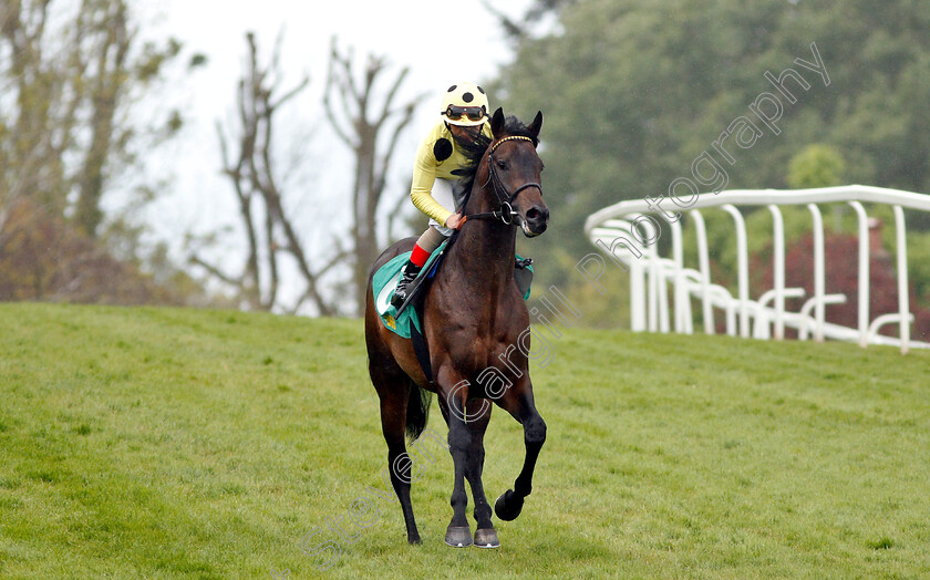 Sharja-Bridge-0001 
 SHARJA BRIDGE (Andrea Atzeni)
Sandown 26 Apr 2019 - Pic Steven Cargill / Racingfotos.com