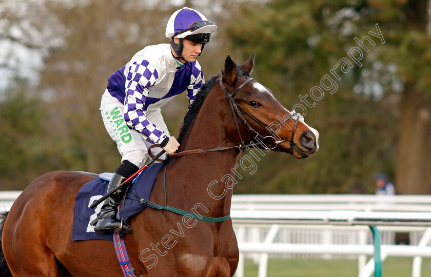 Tropez-Power-0001 
 TROPEZ POWER (Jason Hart)
Lingfield 20 Jan 2024 - Pic Steven Cargill / Racingfotos.com