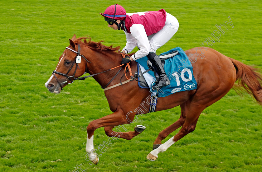 Zoulu-Chief-0003 
 ZOULU CHIEF (Gina Mangan) wins The Sky Bet Nursery
York 23 Aug 2023 - Pic Steven Cargill / Racingfotos.com