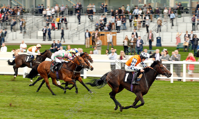 Cliffs-Of-Capri-0002 
 CLIFFS OF CAPRI (Alex Ferguson) wins The Amateur Jockeys Association Handicap
Ascot 5 Oct 2018 - Pic Steven Cargill / Racingfotos.com