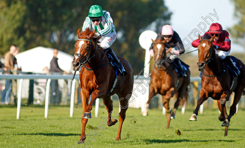 Sunbelt-0002 
 SUNBELT (Robert Havlin) wins The British Stallion Studs EBF Fillies Novice Stakes Div2
Yarmouth 18 Oct 2022 - Pic Steven Cargill / Racingfotos.com