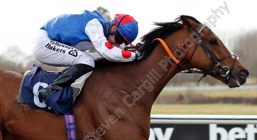 Sha-La-La-La-Lee-0006 
 SHA LA LA LA LEE (Richard Kingscote) wins The Sun Racing No1 Racing Site Handicap
Lingfield 2 Mar 2019 - Pic Steven Cargill / Racingfotos.com