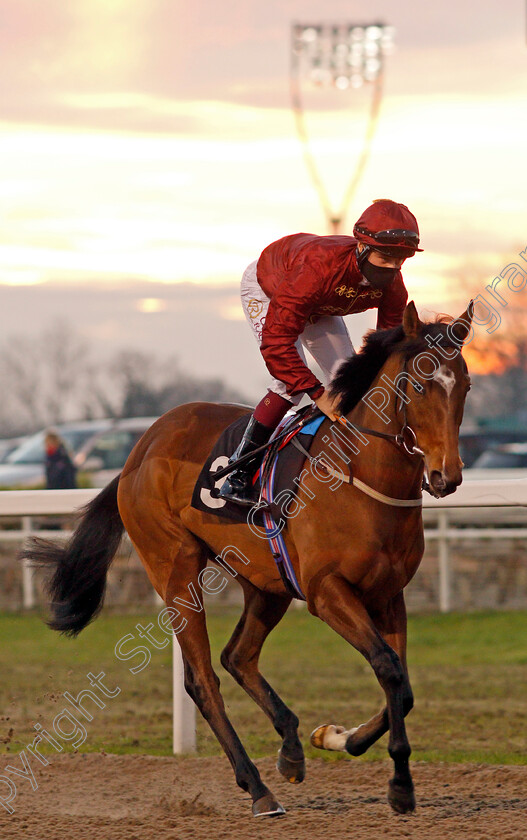 Isla-Vista-0001 
 ISLA VISTA (Cieren Fallon)
Chelmsford 26 Nov 2020 - Pic Steven Cargill / Racingfotos.com