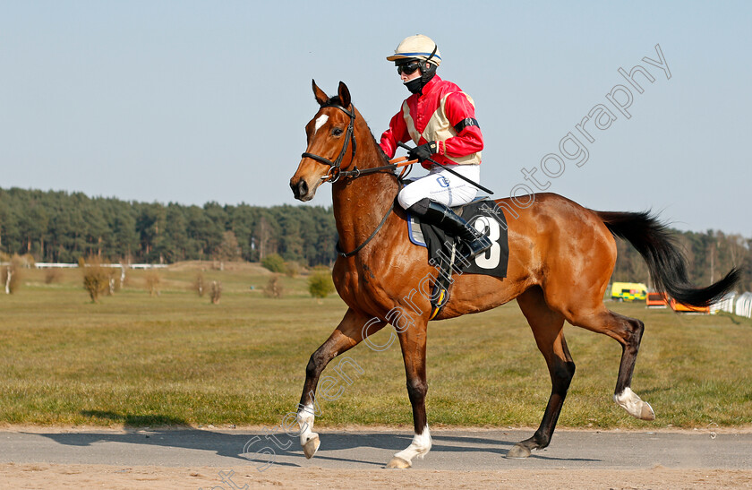 Miss-Bamby-0001 
 MISS BAMBY (Lorcan Murtagh)
Market Rasen 19 Apr 2021 - Pic Steven Cargill / Racingfotos.com