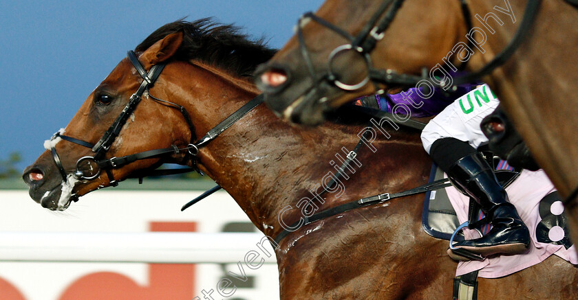 Dragon-Mountain-0003 
 DRAGON MOUNTAIN (Josephine Gordon) wins The 32Red On The App Store Handicap
Kempton 29 Aug 2018 - Pic Steven Cargill / Racingfotos.com