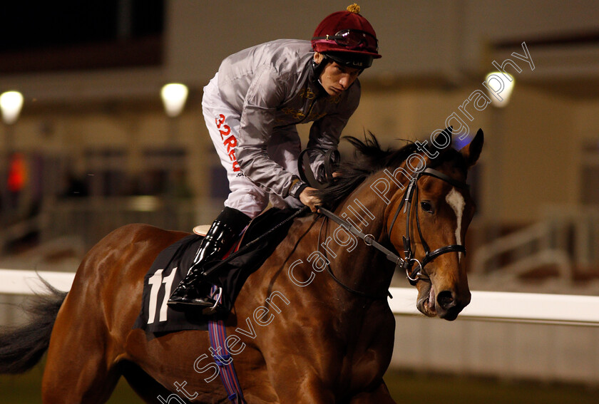 Msaikah-0002 
 MSAIKAH (Luke Morris) Chelmsford 23 Nov 2017 - Pic Steven Cargill / Racingfotos.com