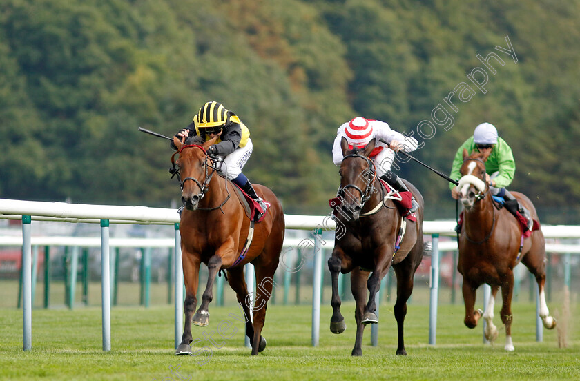 Zouky-0006 
 ZOUKY (Marco Ghiani) beats KITAI (centre) in The British EBF Fillies Novice Stakes
Haydock 2 Sep 2022 - Pic Steven Cargill / Racingfotos.com