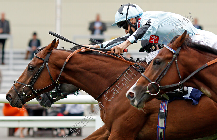 Night-On-Earth-0008 
 NIGHT ON EARTH (William Carver) wins The Betway EBF Novice Stakes
Lingfield 2 Sep 2020 - Pic Steven Cargill / Racingfotos.com