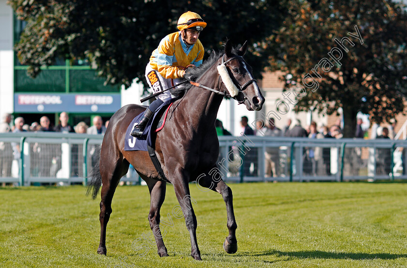 Zack-Mayo-0001 
 ZACK MAYO (Silvestre De Sousa) winner of The Dan Hague Yarmouth's Number 1 Bookmaker Handicap Yarmouth 19 Sep 2017 - Pic Steven Cargill / Racingfotos.com