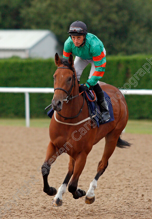 Mendamay-0001 
 MENDAMAY (Duran Fentiman)
Wolverhampton 17 Jul 2019 - Pic Steven Cargill / Racingfotos.com