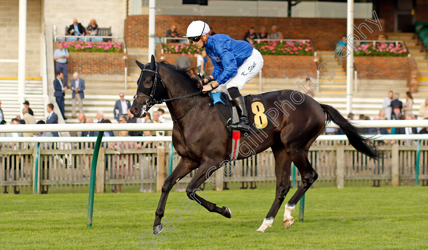 Point-Sur-0001 
 POINT SUR (Kevin Stott)
Newmarket 7 Oct 2023 - Pic Steven Cargill / Racingfotos.com