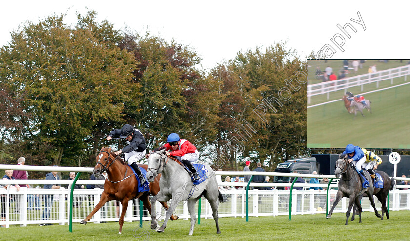 Dark-Lady-0001 
 DARK LADY (Pat Dobbs) beats MILLISLE (farside) in The Shadwell Dick Poole Stakes
Salisbury 5 Sep 2019 - Pic Steven Cargill / Racingfotos.com