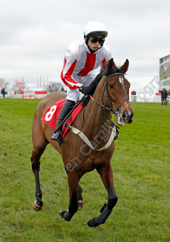 Peking-Opera-0004 
 PEKING OPERA (Niall Houlihan) winner of The Virgin Bet Daily Extra Places Novices Hurdle
Sandown 3 Feb 2024 - Pic Steven Cargill / Racingfotos.com