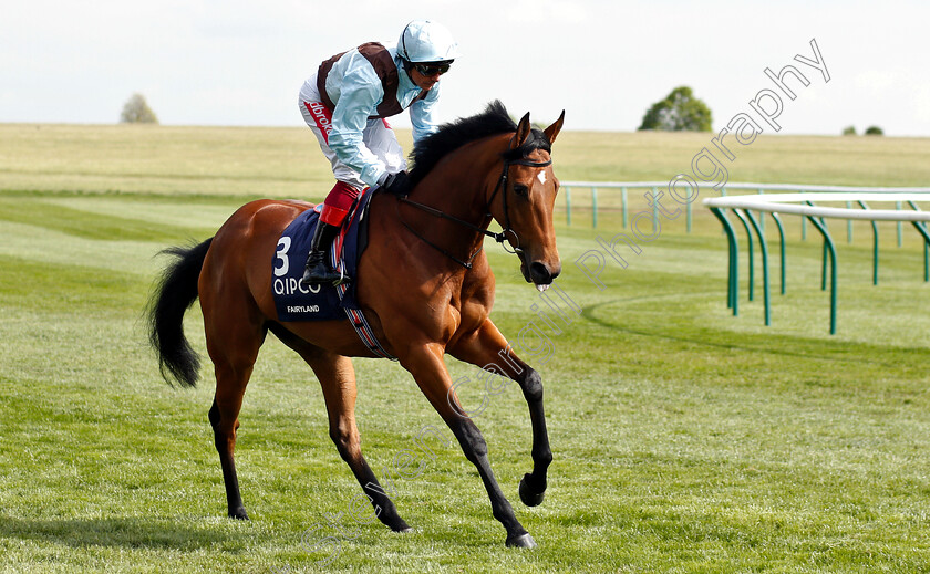 Fairyland-0001 
 FAIRYLAND (Frankie Dettori)
Newmarket 5 May 2019 - Pic Steven Cargill / Racingfotos.com